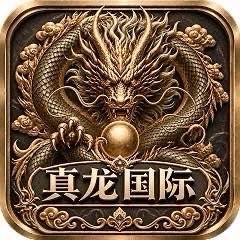 真龙国际
